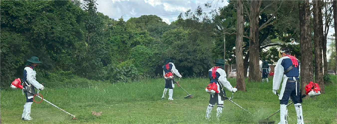 3 jardineria y paisajismo