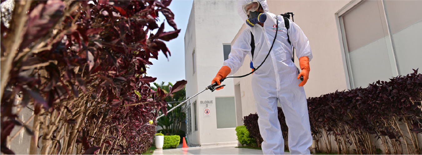 3 portada urruibehety control de plagas