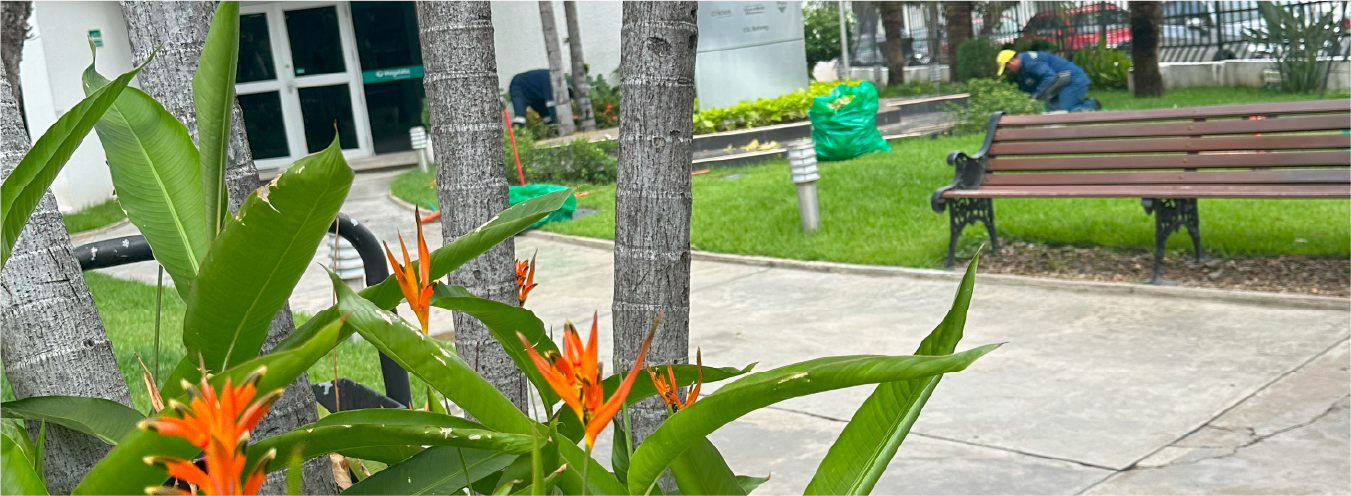 5 jardineria y paisajismo